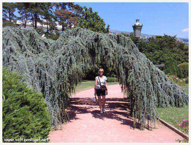 Parc de la Tête d'Or: Oasis urbaine de Lyon, mélange de nature et d'histoire.