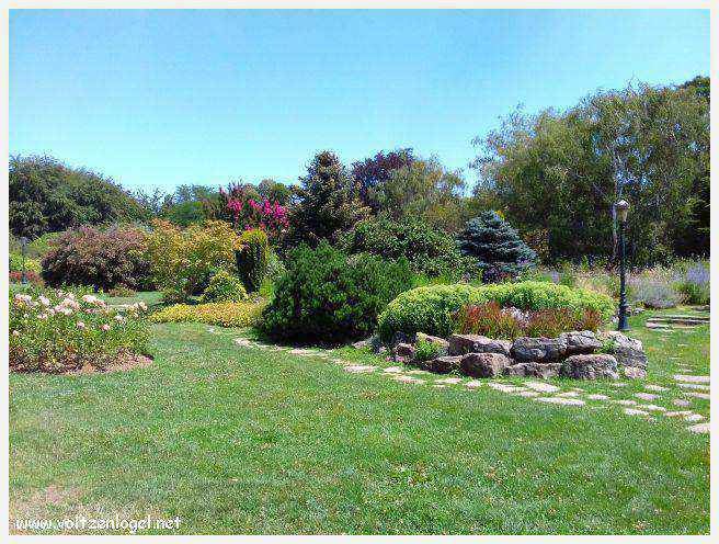 Parc de la Tête d'Or: Oasis urbaine de Lyon, mélange de nature et d'histoire.
