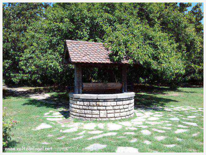 Parc de la Tête d'Or: Oasis urbaine de Lyon, mélange de nature et d'histoire.