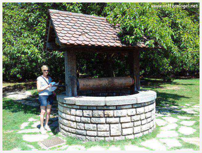 Parc de la Tête d'Or: Oasis urbaine de Lyon, mélange de nature et d'histoire.