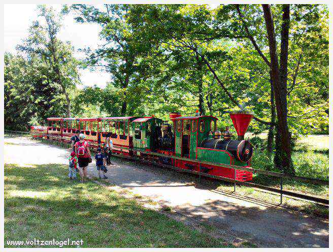 Parc de la Tête d'Or: Oasis urbaine de Lyon, mélange de nature et d'histoire.
