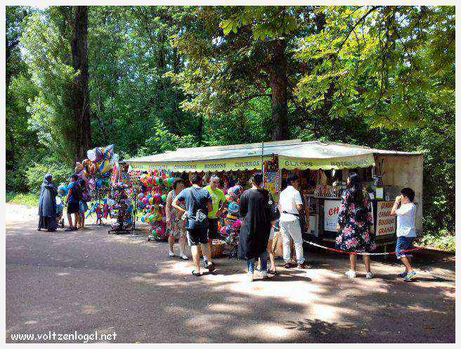 Parc de la Tête d'Or: Oasis urbaine de Lyon, mélange de nature et d'histoire.