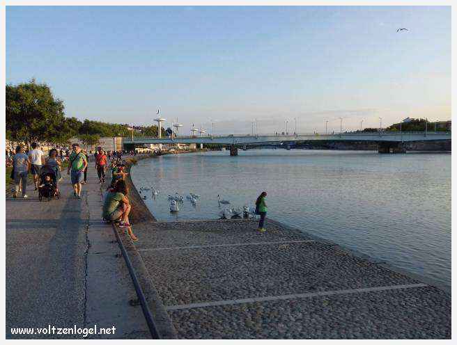 Vue panoramique de Lyon, une ville riche en trésors architecturaux et culturels.