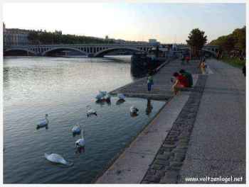 Expérience fluviale : détente au cœur de Lyon