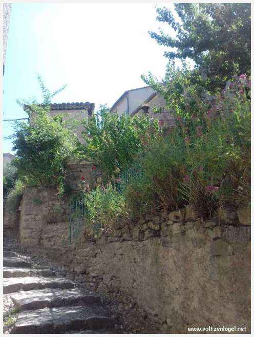 Vue pittoresque de Mollans-sur-Ouvèze, avec son château médiéval et ses charmantes ruelles pavées.