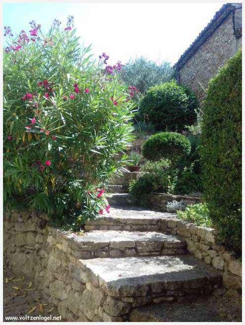 Vue pittoresque de Mollans-sur-Ouvèze, avec son château médiéval et ses charmantes ruelles pavées.