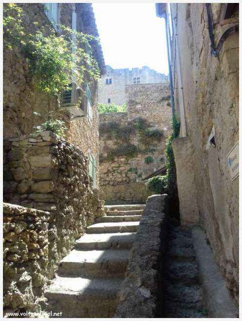 Vue pittoresque de Mollans-sur-Ouvèze, avec son château médiéval et ses charmantes ruelles pavées.