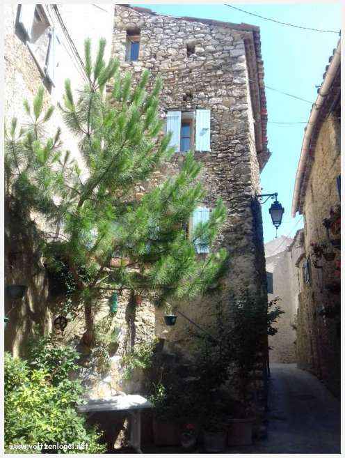 Vue pittoresque de Mollans-sur-Ouvèze, avec son château médiéval et ses charmantes ruelles pavées.