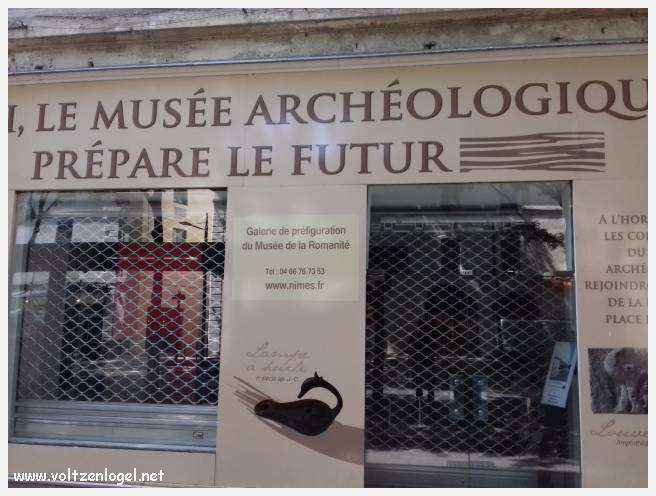 Vue aérienne des Arènes de Nîmes, emblèmes de son héritage romain.