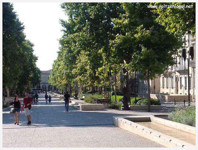 Vue aérienne des Arènes de Nîmes, emblèmes de son héritage romain.