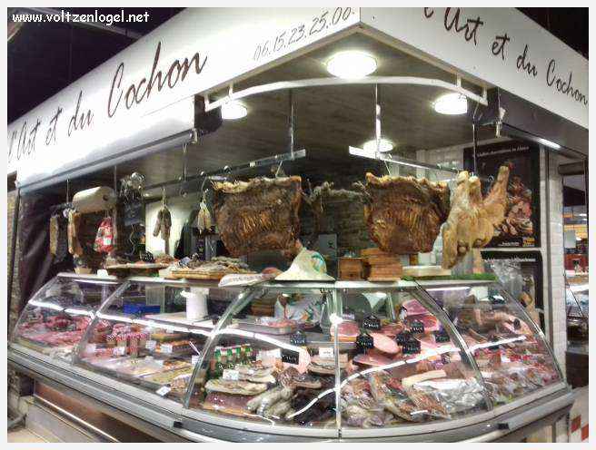 Arènes romaines de Nîmes, témoins de son riche passé historique.