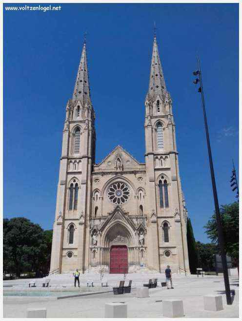 Arènes romaines de Nîmes, témoins de son riche passé historique.