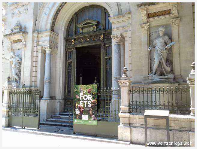 Arènes romaines de Nîmes, témoins de son riche passé historique.