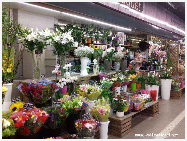 Arènes romaines de Nîmes, témoins de son riche passé historique.