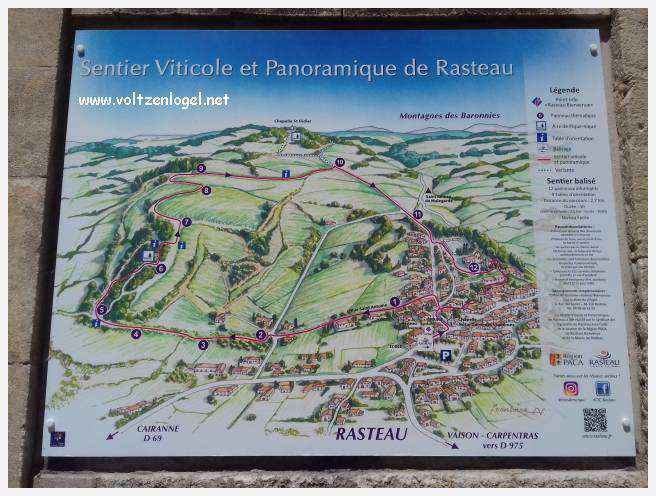 Vue panoramique des vignobles et du village historique de Rasteau