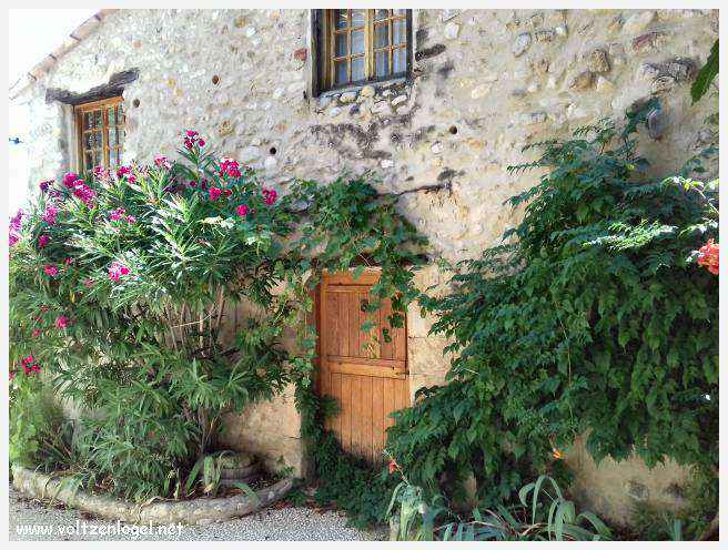 Balade pittoresque à Rasteau : vignobles en terrasse et villages médiévaux préservés.