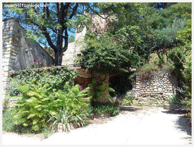 Balade pittoresque à Rasteau : vignobles en terrasse et villages médiévaux préservés.