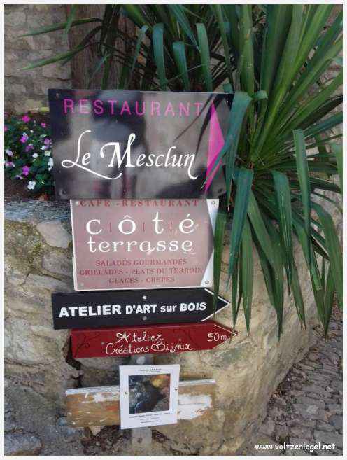 Vue panoramique sur Séguret, village provençal fortifié au charme intemporel.