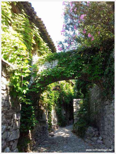 Vue panoramique sur Séguret, village provençal fortifié au charme intemporel.