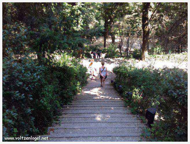 Ruelles médiévales du Vieux Lyon, témoins de son riche passé historique.