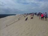 bassin d'arcacon, la dune du pilat
