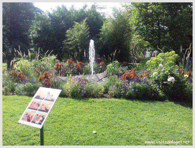 Vue panoramique sur le lac du Bourget à Aix-les-Bains