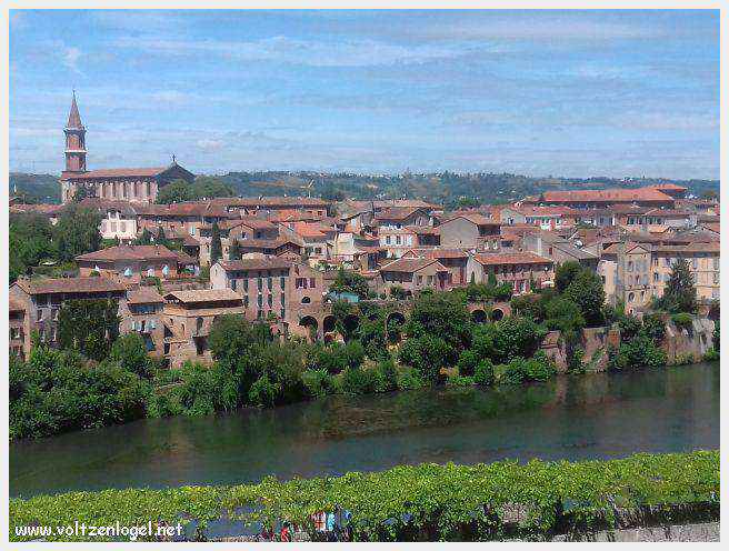 Image de la majestueuse cathédrale Sainte-Cécile d'Albi, symbole d'histoire et d'art.