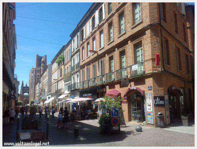 Vue panoramique de la cathédrale Sainte-Cécile à Albi, chef-d'œuvre gothique