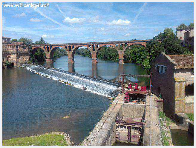 Vue panoramique de la cathédrale Sainte-Cécile à Albi, chef-d'œuvre gothique