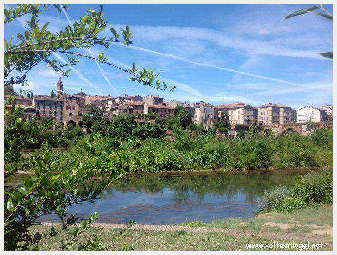 Vue pittoresque du pont Vieux et du Tarn, témoins du charme naturel d'Albi.