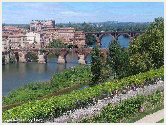 Cathédrale Sainte-Cécile d'Albi, symbole de son architecture médiévale remarquable
