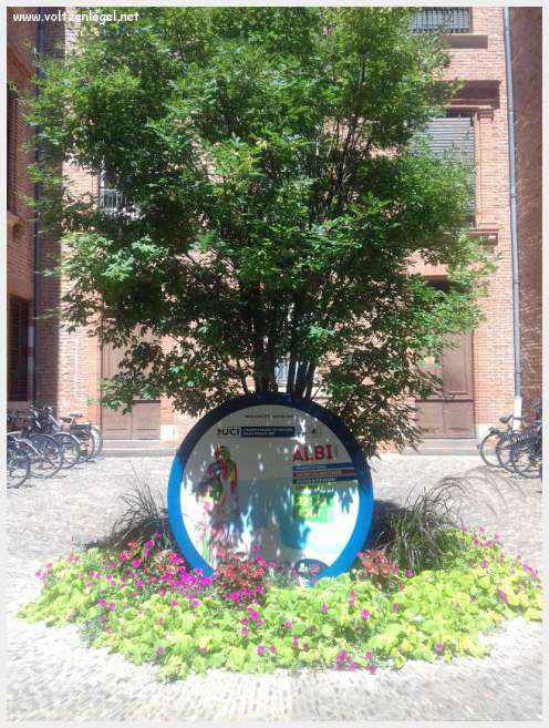 Cathédrale Sainte-Cécile d'Albi, symbole de son architecture médiévale remarquable