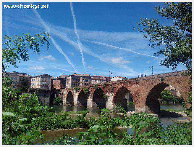 Cathédrale Sainte-Cécile d'Albi, symbole de son architecture médiévale remarquable