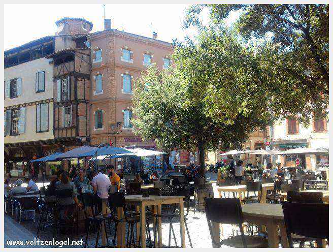 Cathédrale Sainte-Cécile d'Albi, symbole de son architecture médiévale remarquable