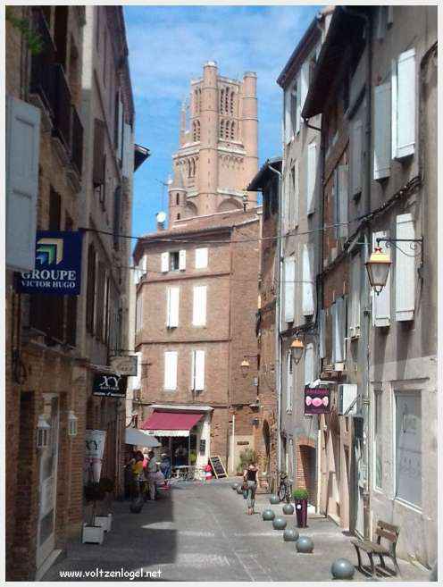 Vue panoramique d'Albi avec la cathédrale Sainte-Cécile et le Pont Vieux