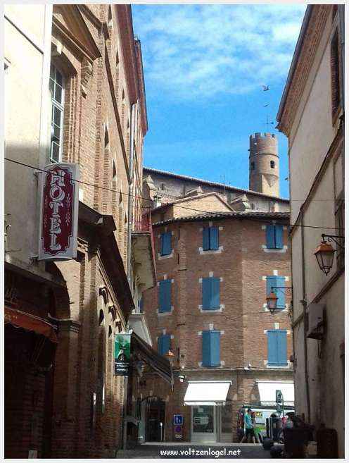 Vue panoramique d'Albi avec la cathédrale Sainte-Cécile et le Pont Vieux