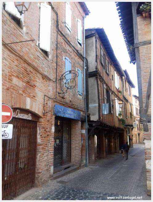 Vue panoramique d'Albi avec la cathédrale Sainte-Cécile et le Pont Vieux