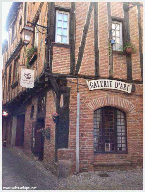 Vue panoramique d'Albi avec la cathédrale Sainte-Cécile et le Pont Vieux