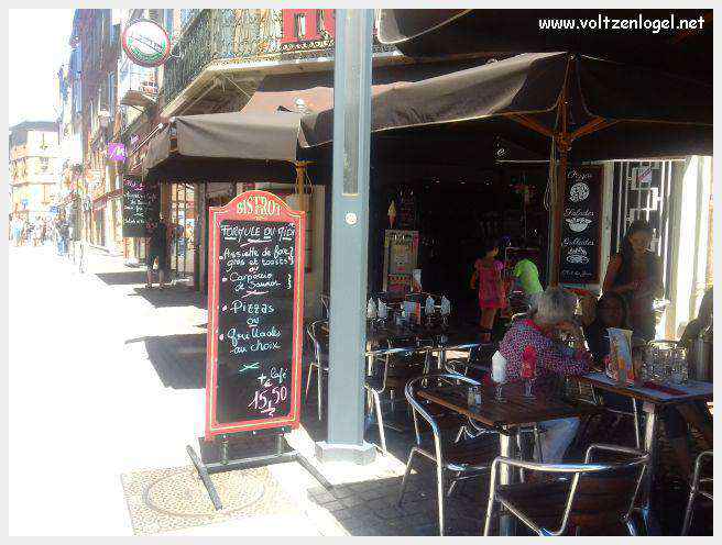 Vue panoramique d'Albi avec la cathédrale Sainte-Cécile et le Pont Vieux