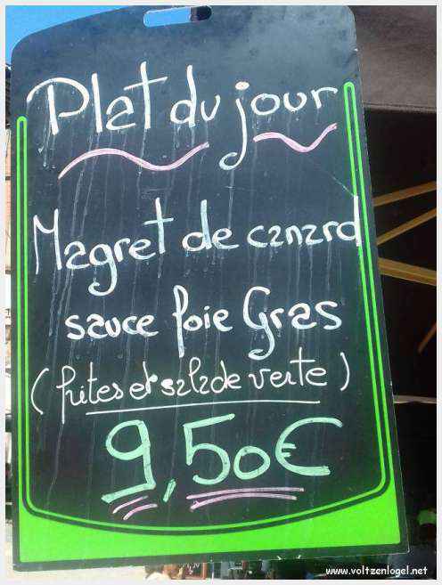 Vue panoramique d'Albi avec la cathédrale Sainte-Cécile et le Pont Vieux