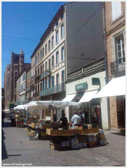 Vue panoramique d'Albi avec la cathédrale Sainte-Cécile et le Pont Vieux