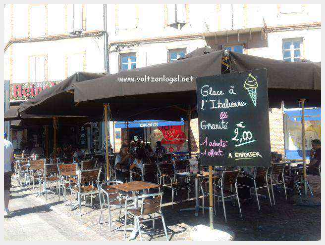 Vue panoramique d'Albi avec la cathédrale Sainte-Cécile et le Pont Vieux