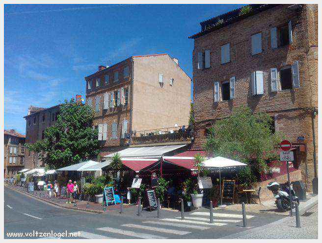 Vue panoramique d'Albi avec la cathédrale Sainte-Cécile et le Pont Vieux