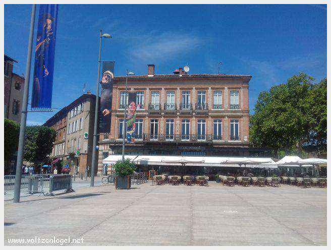 Vue panoramique d'Albi avec la cathédrale Sainte-Cécile et le Pont Vieux