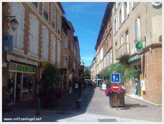 Vue panoramique d'Albi avec la cathédrale Sainte-Cécile et le Pont Vieux