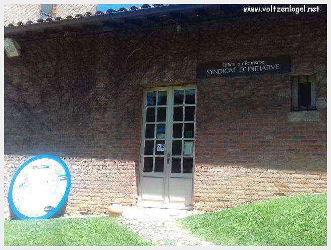 Vue panoramique d'Albi avec la cathédrale Sainte-Cécile et le Pont Vieux