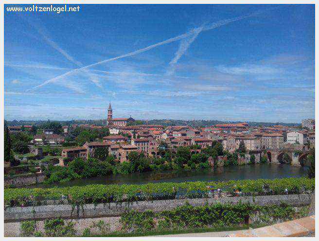 Vue panoramique d'Albi avec la cathédrale Sainte-Cécile et le Pont Vieux
