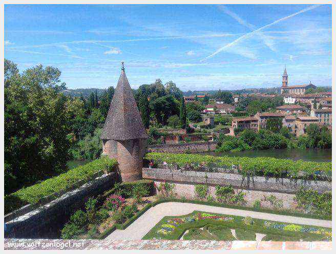 Vue panoramique d'Albi avec la cathédrale Sainte-Cécile et le Pont Vieux