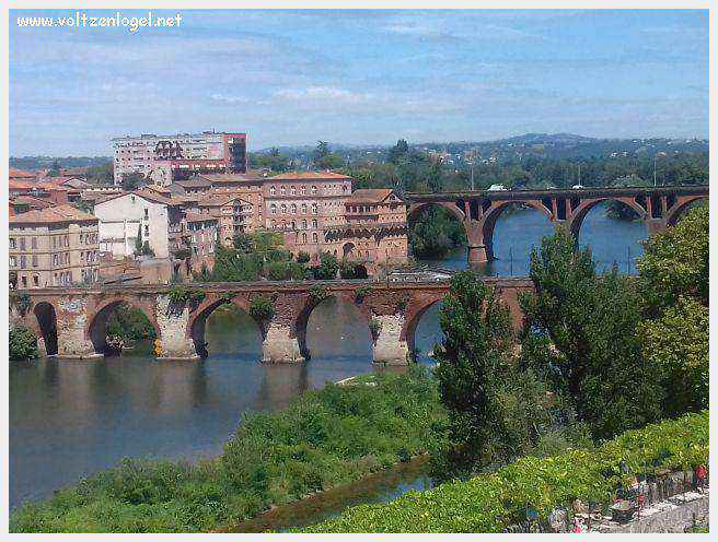 Vue panoramique d'Albi avec la cathédrale Sainte-Cécile et le Pont Vieux