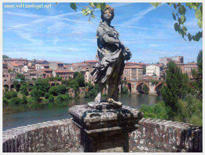 Vue panoramique d'Albi avec la cathédrale Sainte-Cécile et le Pont Vieux